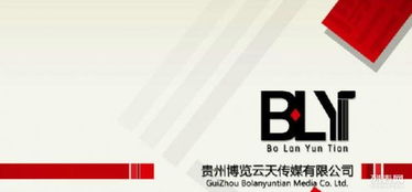 從網(wǎng)站建設(shè)到整合營(yíng)銷 打造數(shù)字化時(shí)代的品牌增長(zhǎng)引擎